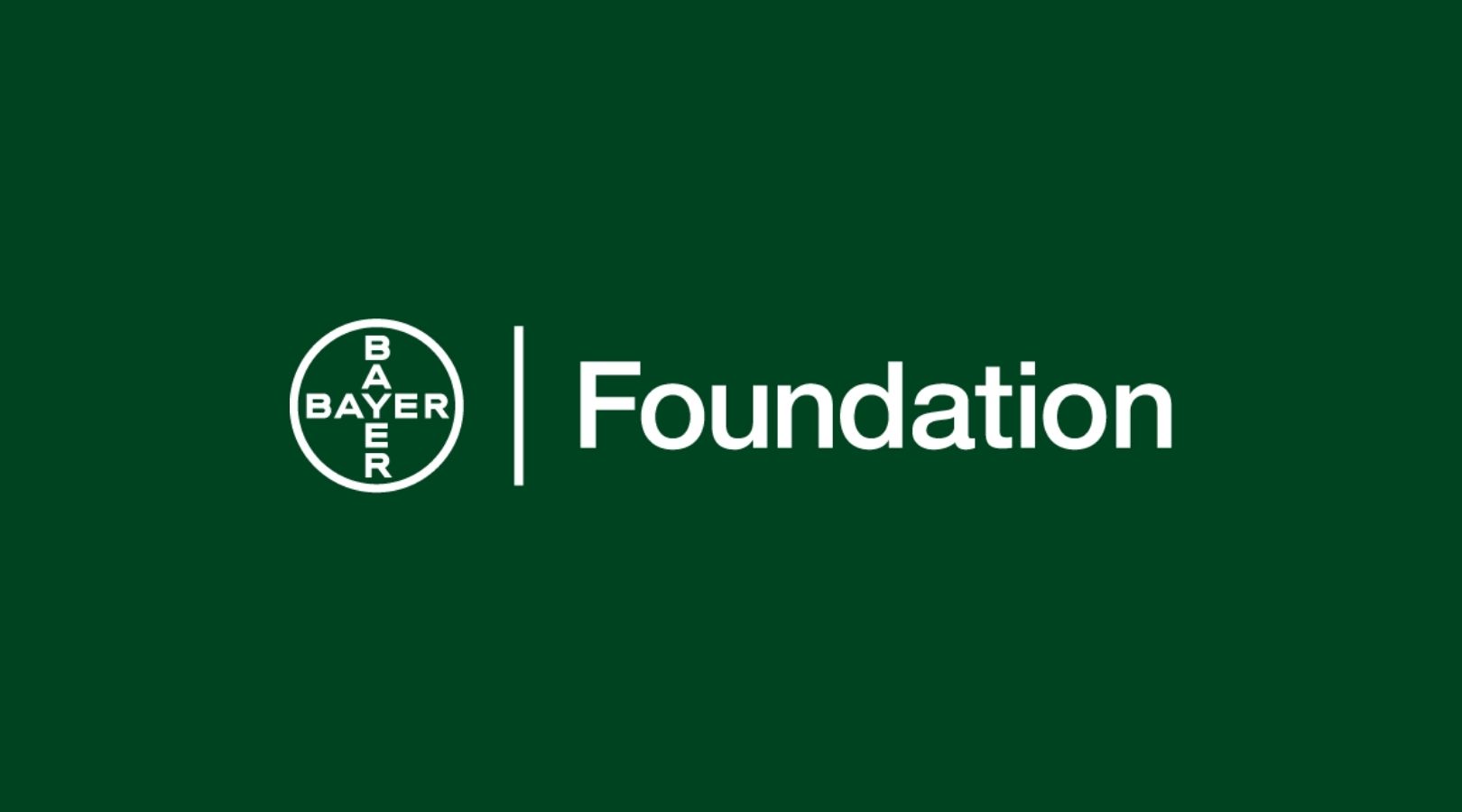 How to Apply for the Bayer Foundation Fellowship Program 2024