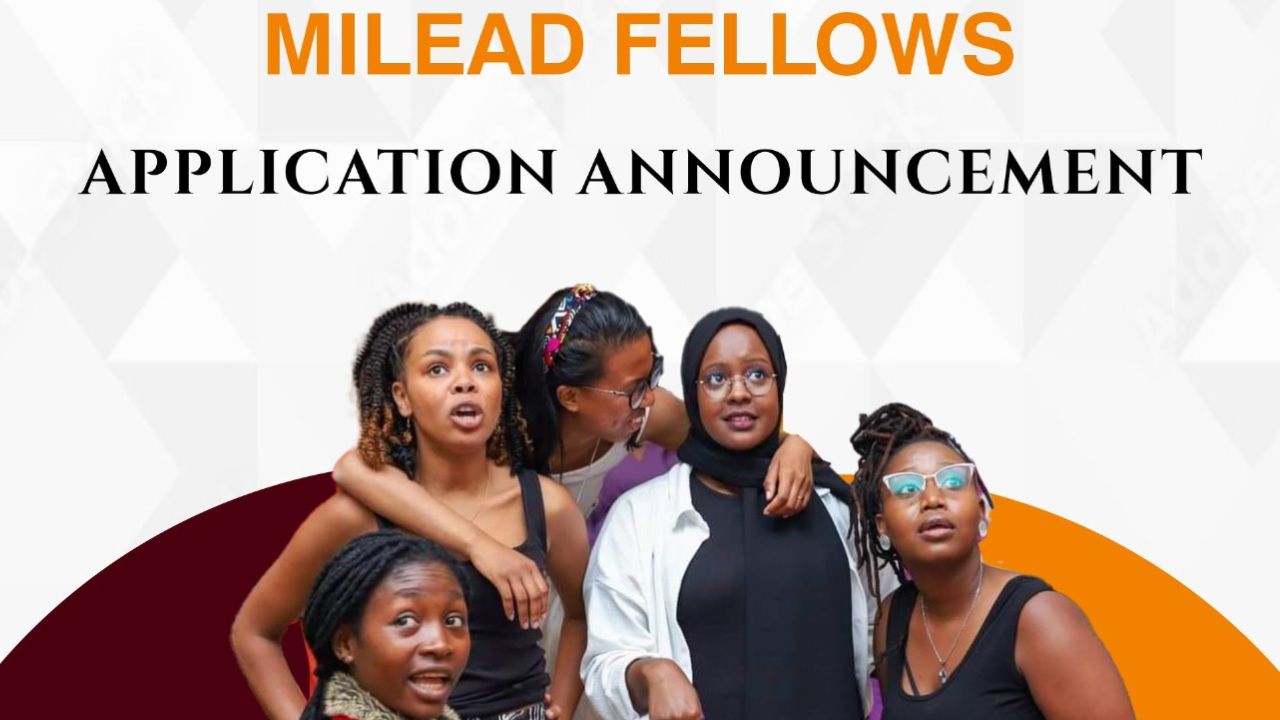Apply for the 2024 MILEAD Fellows Program
