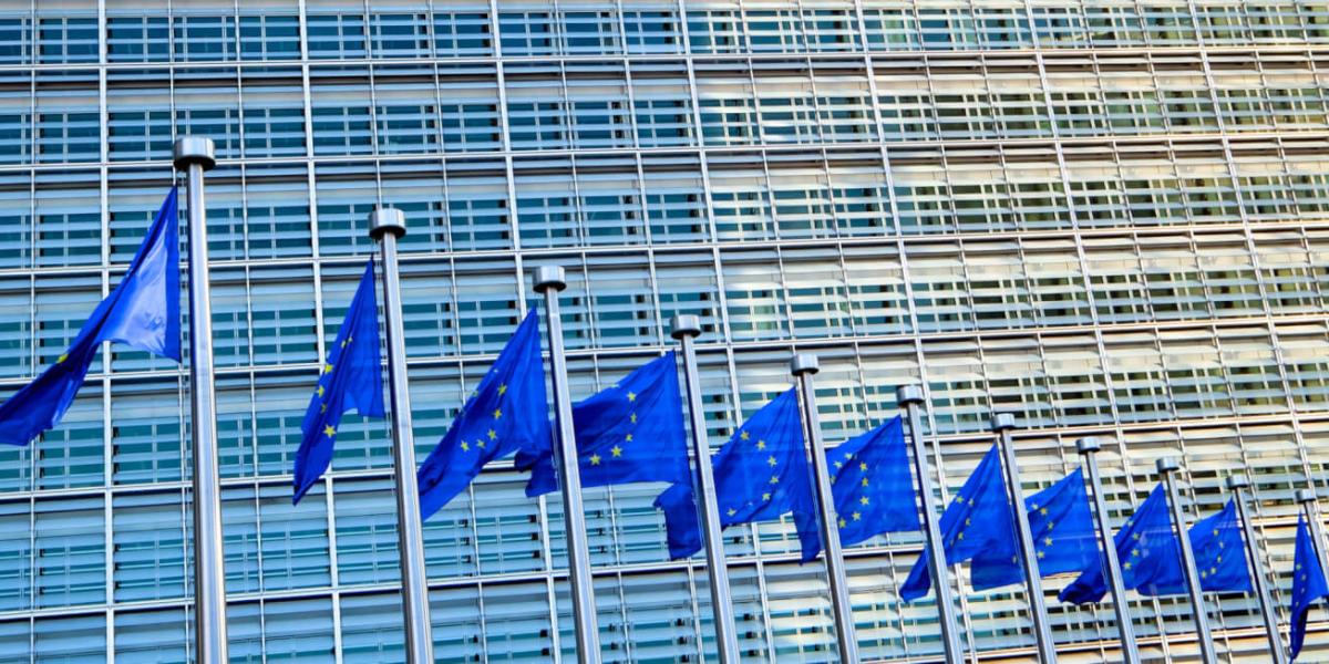 How to Apply for the European Commission Blue Book Traineeship Program 2024