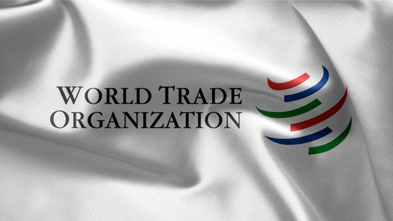 How to Apply for the 2024 World Trade Organization Internship Program